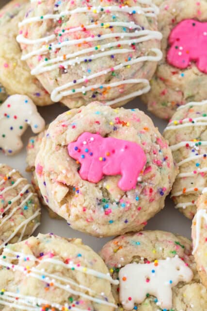 Animal Circus Cookie