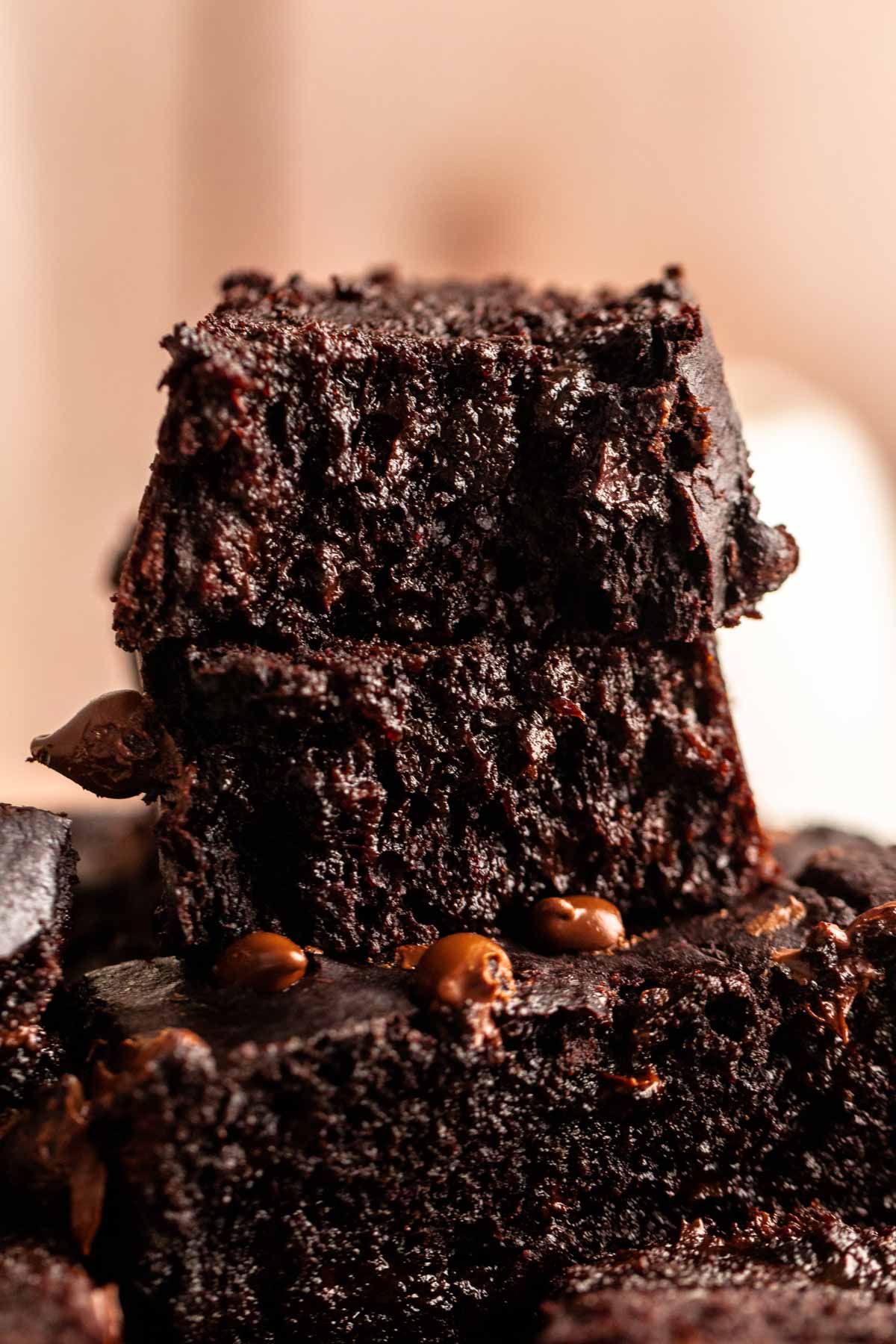 Chocolate Pumpkin Chip Loaf